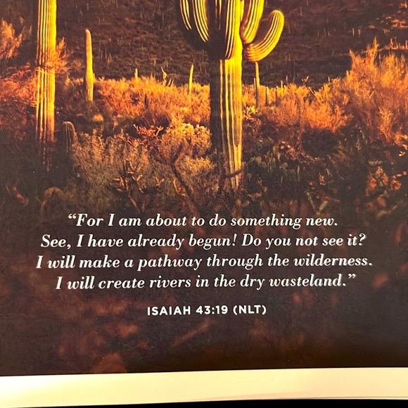 12 Thank You Cards & Envelopes - Picture 2 of 4